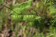 IMG_9134