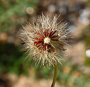 IMG_1675