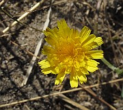 IMG_9754