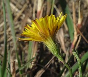 IMG_9755
