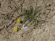 IMG_9761