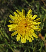 IMG_9942
