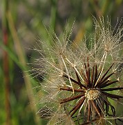 IMG_9947