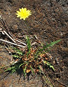 IMG_4466