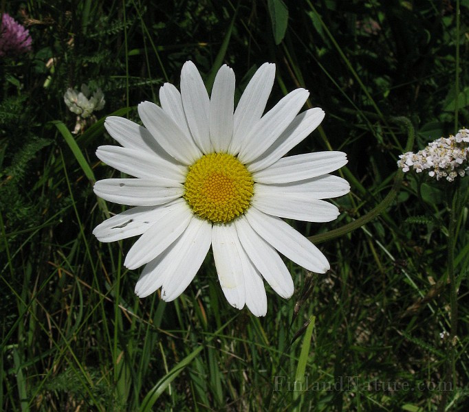 IMG_6275.jpg