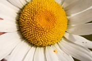 IMG_1124