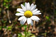 IMG_1286
