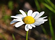 IMG_1290