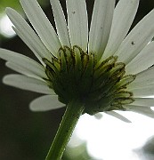 IMG_3243