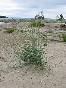 IMG_6727