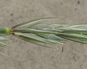 IMG_6728b