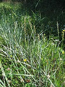 IMG_8711