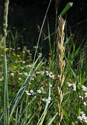 IMG_8713