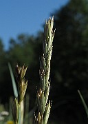 IMG_8714