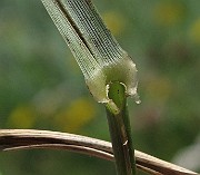 IMG_8715