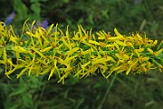 IMG_1891