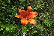 IMG_0076