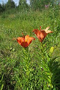 IMG_0079