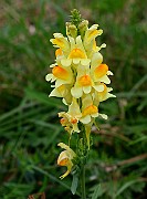 IMG_0359