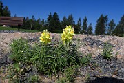 IMG_0401