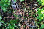 IMG_0152