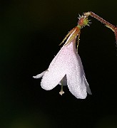 IMG_0162