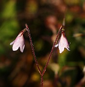 IMG_0164