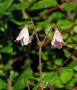 IMG_4486