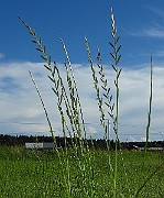 IMG_9553