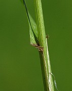 IMG_9558