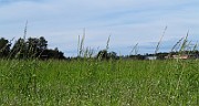 IMG_9575