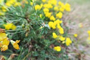 IMG_7055
