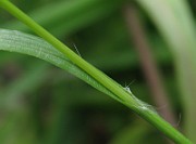 IMG_6586