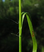 IMG_5537