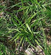 IMG_6005