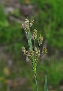 IMG_9361