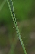 IMG_9363