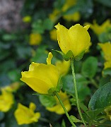 IMG_3020
