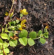 IMG_3506b