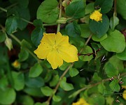IMG_6844