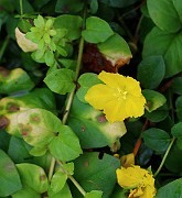 IMG_6846