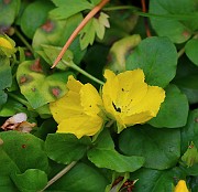 IMG_6847