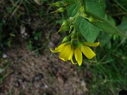 IMG_5706