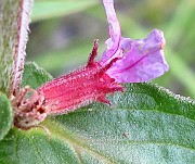 IMG_3093