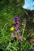IMG_2552