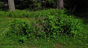 IMG_2557