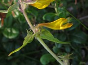 IMG_8634