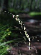 IMG_7059