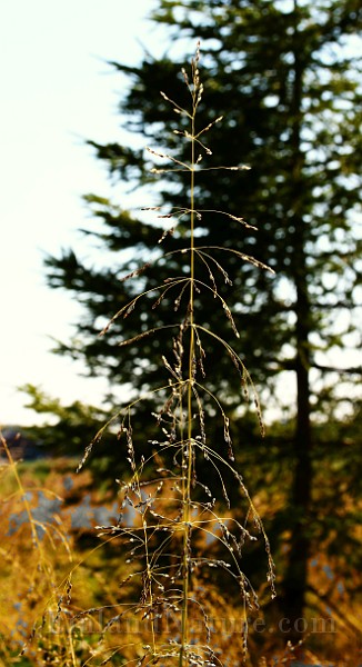 IMG_6029.JPG