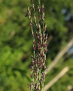 IMG_1328